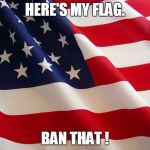 American flag | HERE'S MY FLAG. BAN THAT ! | image tagged in american flag | made w/ Imgflip meme maker