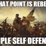 Washington Meme | AT WHAT POINT IS REBELLION SIMPLE SELF DEFENSE? | image tagged in washington meme | made w/ Imgflip meme maker