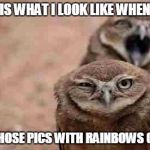 Annoyed Owl | THIS IS WHAT I LOOK LIKE WHEN I SEE ALL THOSE PICS WITH RAINBOWS ON EM | image tagged in annoyed owl | made w/ Imgflip meme maker