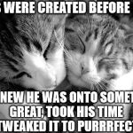 catshug | DOGS WERE CREATED BEFORE CATS, GOD KNEW HE WAS ONTO SOMETHING GREAT, TOOK HIS TIME AND TWEAKED IT TO PURRRFECTION! | image tagged in catshug | made w/ Imgflip meme maker