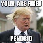 Racist | YOU!!  ARE FIRED PENDEJO | image tagged in racist,trump | made w/ Imgflip meme maker