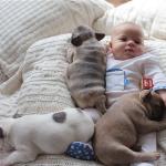 Baby with puppies