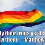 Rainbow flag | "By their fruits ye shall know them." --Matthew 7:16 | image tagged in rainbow flag | made w/ Imgflip meme maker