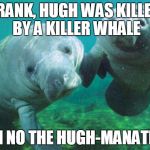Dancing manatees | FRANK, HUGH WAS KILLED BY A KILLER WHALE OH NO THE HUGH-MANATEE | image tagged in dancing manatees | made w/ Imgflip meme maker