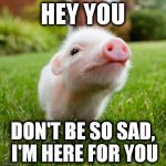 piggy | HEY YOU DON'T BE SO SAD, I'M HERE FOR YOU | image tagged in piggy | made w/ Imgflip meme maker