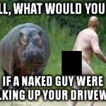 Hippo vs. Naked Guy | WELL, WHAT WOULD YOU DO, IF A NAKED GUY WERE WALKING UP YOUR DRIVEWAY? | image tagged in hippo vs naked guy | made w/ Imgflip meme maker