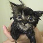 Moist Pussy