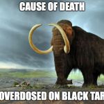 junkie mammoth | CAUSE OF DEATH OVERDOSED ON BLACK TAR | image tagged in wooly mammoth,junkie,drugs,overdose,heroin,black tar | made w/ Imgflip meme maker