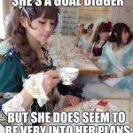 Someone got a better image for this? | I'M NOT SAYING SHE'S A GOAL DIGGER BUT SHE DOES SEEM TO BE VERY INTO HER PLANS FOR AN IDEAL LIFESTYLE | image tagged in none of my business lolita | made w/ Imgflip meme maker
