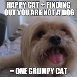 Happy dog | HAPPY CAT + FINDING OUT YOU ARE NOT A DOG = ONE GRUMPY CAT | image tagged in happy dog | made w/ Imgflip meme maker