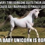 unicorn | EVERY TIME SOMEONE QUITS THEIR JOB BECAUSE GAY MARRIAGE IS FINALLY LEGAL... ... A BABY UNICORN IS BORN. | image tagged in unicorn | made w/ Imgflip meme maker