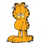 Grumpy Garfield meme