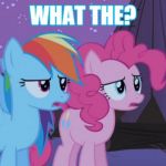 Mlp Pinkie Pie Rainbow Dash | WHAT THE? | image tagged in mlp pinkie pie rainbow dash | made w/ Imgflip meme maker