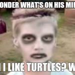 I like turtles | I WONDER WHAT'S ON HIS MIND? OH I LIKE TURTLES? WTF | image tagged in i like turtles | made w/ Imgflip meme maker