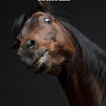 ScaryHorse | WATCH ME WHIP...... NOW WATCH ME NEIGH NEIGH!......NNNEEEIIIGGGHHH | image tagged in scaryhorse | made w/ Imgflip meme maker