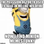 Minions | THE PASSSION OF YOUTH USED TO RAGE IN ME LIKE WILDFIRE NOW I FIND MINION MEMES FUNNY | image tagged in minions | made w/ Imgflip meme maker