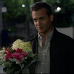 harvey specter flowers