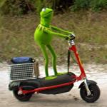 Kermit on Scooter