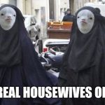 Coming This Fall To ABC | THE REAL HOUSEWIVES OF ISIS | image tagged in memes | made w/ Imgflip meme maker