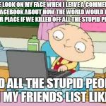 Upvote this meme if you think that the world would be a better place if we killed off all the stupid people. | THE LOOK ON MY FACE WHEN I LEAVE A COMMENT ON FACEBOOK ABOUT HOW THE WORLD WOULD BE A BETTER PLACE IF WE KILLED OFF ALL THE STUPID PEOPLE AN | image tagged in stewieoncomputer,memes,stupid people,facebook | made w/ Imgflip meme maker