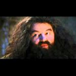 Hagrid meme
