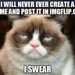 grumpy cat  | I WILL NEVER EVER CREATE A MEME AND POST IT IN IMGFLIP.ORG I SWEAR | image tagged in grumpy cat,imgflip | made w/ Imgflip meme maker