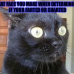 Surprised  | THAT FACE YOU MAKE WHEN DETERMINING IF YOUR FARTED OR SHARTED | image tagged in surprised | made w/ Imgflip meme maker