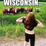 When You Drink During The Day, THIS Happens... | MEANWHILE, IN WISCONSIN.... | image tagged in flashing cows,nsfw,boobs,hilarious | made w/ Imgflip meme maker