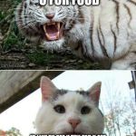 Tiger cat | I WILL KILL U FOR FOOD ID LIKE TO SEE U TRY FOR U SEE I AM CRAZZZZY!!!!!!!!!!!!!!!!!!!!!!!!!!!!!!!!!!!!!!!!!!!!!!!!!!!! | image tagged in tiger cat | made w/ Imgflip meme maker