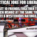 msnbc | PRACTICAL JOKE FOR LIBERALS. . . GET 10 FRIENDS TOGETHER TO WATCH MSNBC AT THE SAME TIME TO CREATE A MYSTERIOUS RATINGS HIKE ! | image tagged in msnbc | made w/ Imgflip meme maker