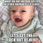 Bad Joke Baby | WHAT DID ONE SHEPARD SAY TO THE OTHER SHEPARD AT 5 O'CLOCK? LET'S GET THE FLOCK OUT OF HERE! | image tagged in bad joke baby | made w/ Imgflip meme maker