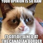 grumpy smile | YOUR OPINION IS SO RAW IT GOT DETAINED AT THE CANADIAN BORDER | image tagged in grumpy smile | made w/ Imgflip meme maker