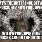 Among other things.. | WHAT'S THE DIFFERENCE BETWEEN A PORSCHE AND A PORCUPINE? WITH A PORCUPINE THE PRICKS ARE ON THE OUTSIDE | image tagged in porcupine | made w/ Imgflip meme maker