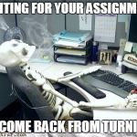 Skeleton | WAITING FOR YOUR ASSIGNMENT TO COME BACK FROM TURNITIN | image tagged in skeleton | made w/ Imgflip meme maker