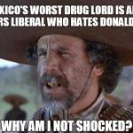 El Guapo...El Chapo | SO, MEXICO'S WORST DRUG LORD IS AN OPEN BORDERS LIBERAL WHO HATES DONALD TRUMP WHY AM I NOT SHOCKED? | image tagged in el guapo,drugs,liberals | made w/ Imgflip meme maker