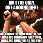 john goodman | AM I THE ONLY ONE AROUND HERE WHO KNOWS THE DIFFERENCE BETWEEN THAN AND THEN, YOUR AND YOU'RE, THERE AND THEIR, AND TO AND TOO? | image tagged in john goodman | made w/ Imgflip meme maker