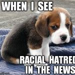 sad puppy | WHEN  I  SEE RACIAL  HATRED  IN  THE  NEWS | image tagged in sad puppy | made w/ Imgflip meme maker
