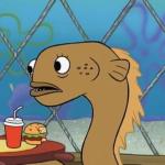 Sadly I Am Only An Eel