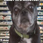 Pharmacy Pug | SO YOU WANT YOUR PRESCRIPTION READY IN 5 MINUTES? WOULD YOU ALSO LIKE FRIES WITH THAT? | image tagged in pharmacy pug | made w/ Imgflip meme maker