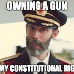 Obvious | OWNING A GUN IS MY CONSTITUTIONAL RIGHT | image tagged in obvious | made w/ Imgflip meme maker