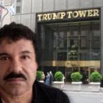 El chapo