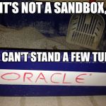Oracle has a "great" sandbox... | IT'S NOT A SANDBOX, IF IT CAN'T STAND A FEW TURDS. | image tagged in oracle box,oracle,sandbox,larrye,turds,database | made w/ Imgflip meme maker