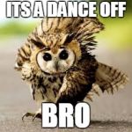 dance owl | ITS A DANCE OFF BRO | image tagged in dance owl | made w/ Imgflip meme maker