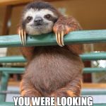 Sloth | I HEARD YOU WERE LOOKING FOR ONE MORE SLOTH | image tagged in sloth | made w/ Imgflip meme maker