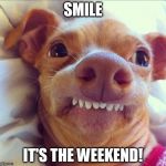 tuna dog | SMILE IT'S THE WEEKEND! | image tagged in tuna dog | made w/ Imgflip meme maker