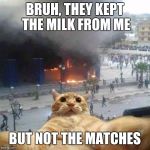 No milk, no house | BRUH, THEY KEPT THE MILK FROM ME BUT NOT THE MATCHES | image tagged in selfie cat | made w/ Imgflip meme maker