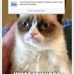 Grumpy Cat no friends | WHAT FRIENDS? | image tagged in grumpy cat no friends | made w/ Imgflip meme maker