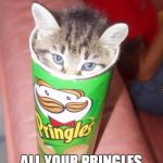 Catatude | NO YOU CAN'T HAVE ALL YOUR PRINGLES ARE MINE! | image tagged in cats,box,chips | made w/ Imgflip meme maker
