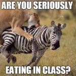 zebrah | ARE YOU SERIOUSLY EATING IN CLASS? | image tagged in zebrah | made w/ Imgflip meme maker