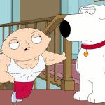 stewie 